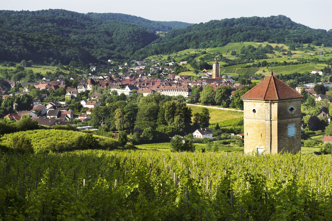 Communes Arbois Tour de Curon 4985